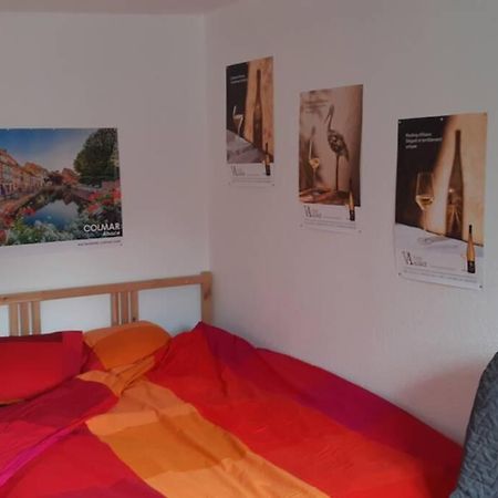 Gite De Benedicte Ancienne Douane Colmar Buitenkant foto