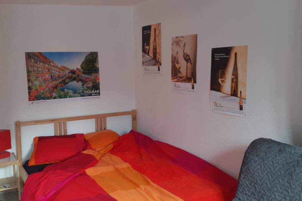 Gite De Benedicte Ancienne Douane Colmar Buitenkant foto