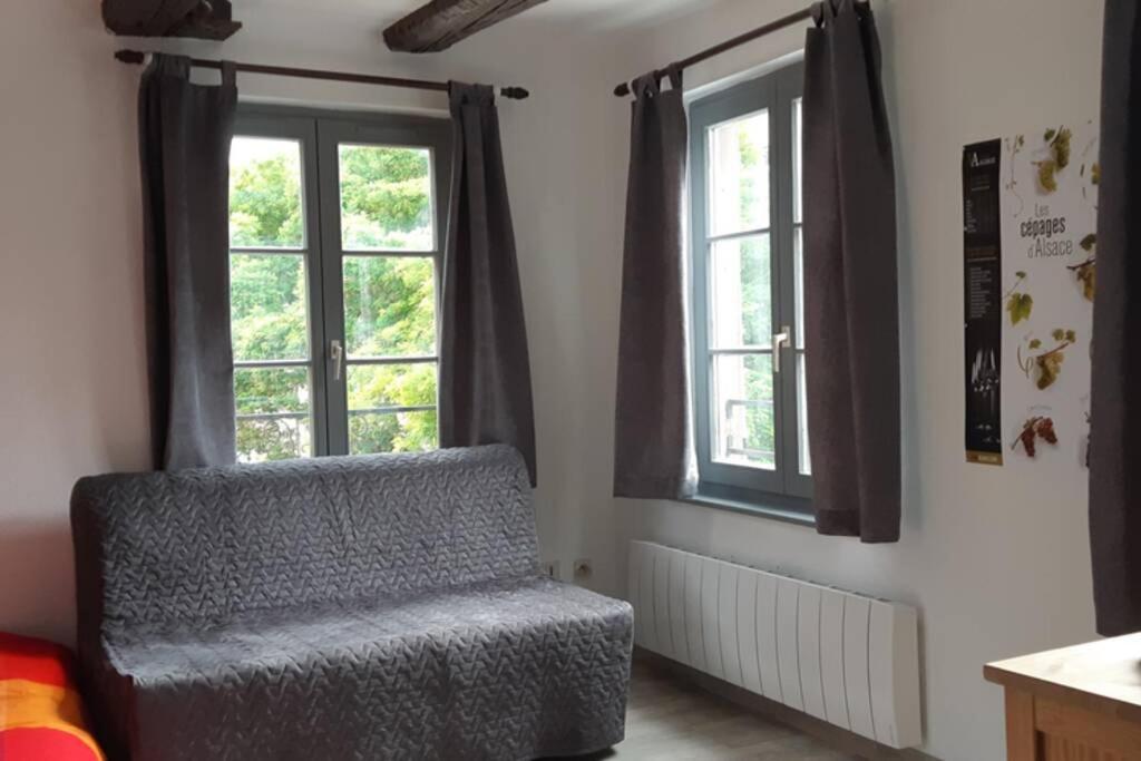 Gite De Benedicte Ancienne Douane Colmar Buitenkant foto